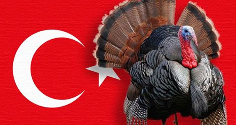 Thổ nhĩ kỳ, gà tây và câu chuyện xung quanh cái tên Turkey nhạy cảm | Khám phá Thổ Nhĩ Kỳ | Du lịch Thổ Nhĩ Kỳ | Đi du lịch Thổ